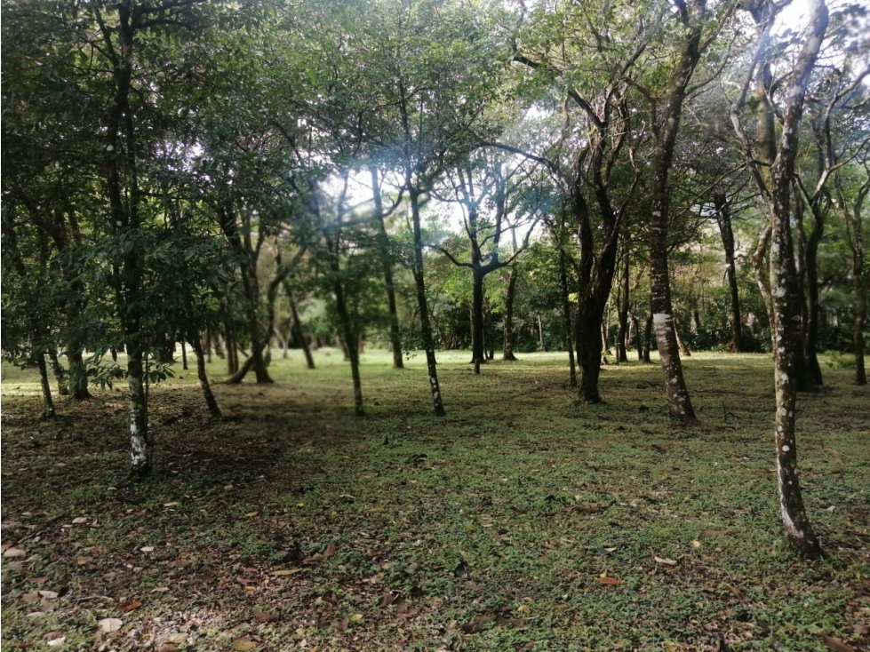 VENTA LOTE VALLE DE ANTON - 1