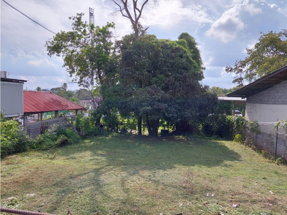 ALQUILER CASA COMERCIAL — foto 6