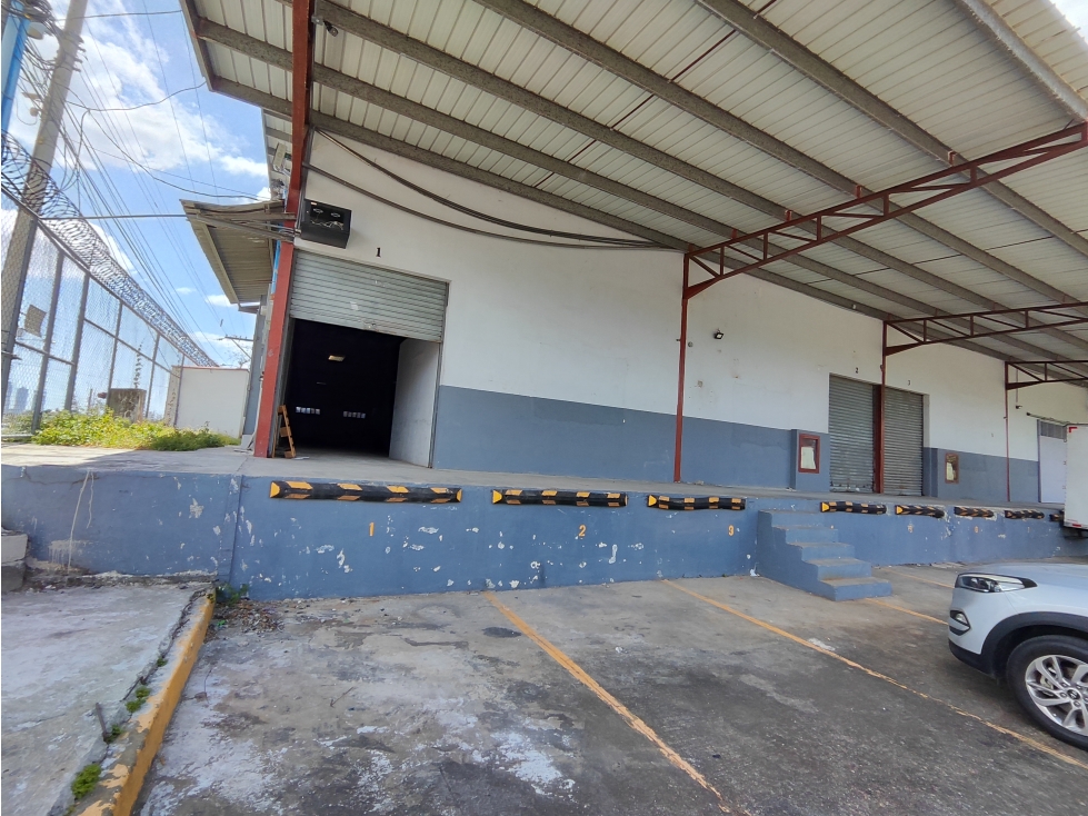 VENTA GALERA JUAN DIAZ — foto 4