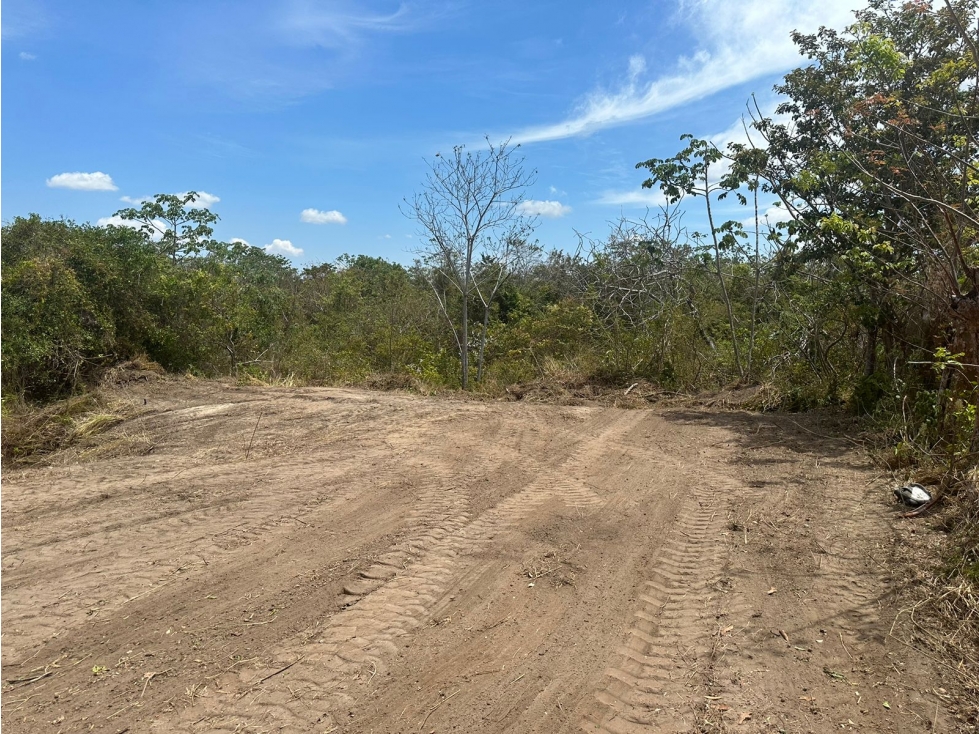 VENTA TERRENO JUAN DIAZ - 5