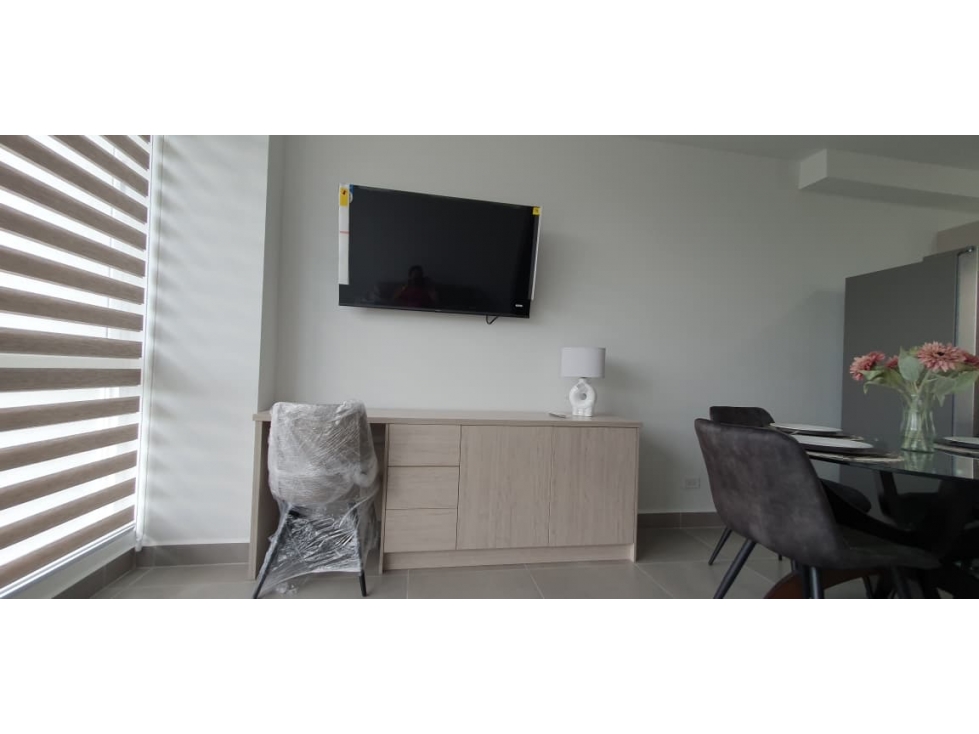 ALQUILER APARTAMENTO AMOBLADO ALBROOK