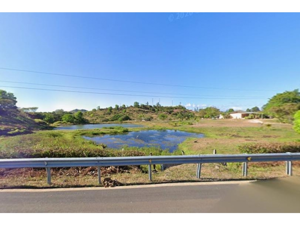 VENTA FINCA VERAGUAS - 4