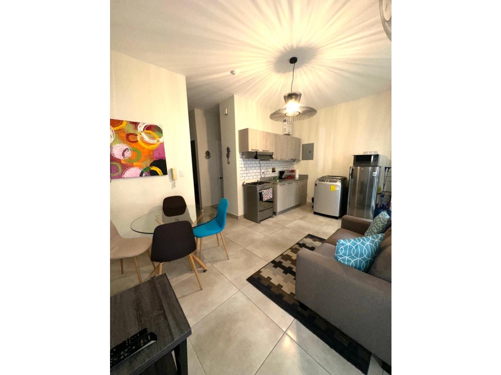 ALQUILER APARTAMENTO AMOBLADO SANTA ANA — foto 3