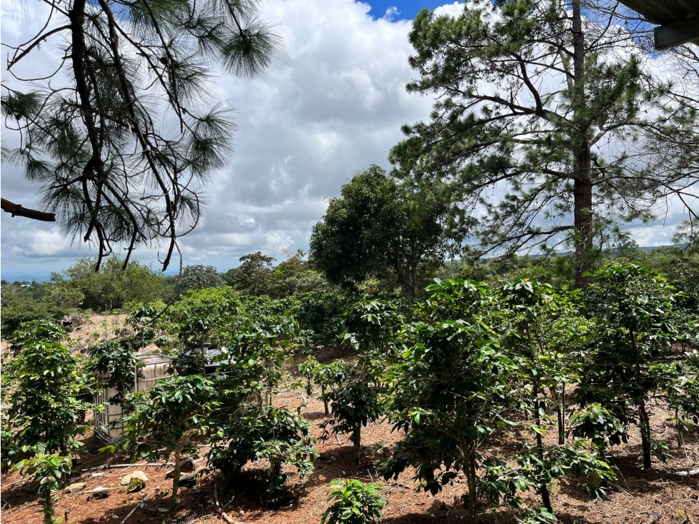 VENTA FINCA ALTO BOQUETE - 6