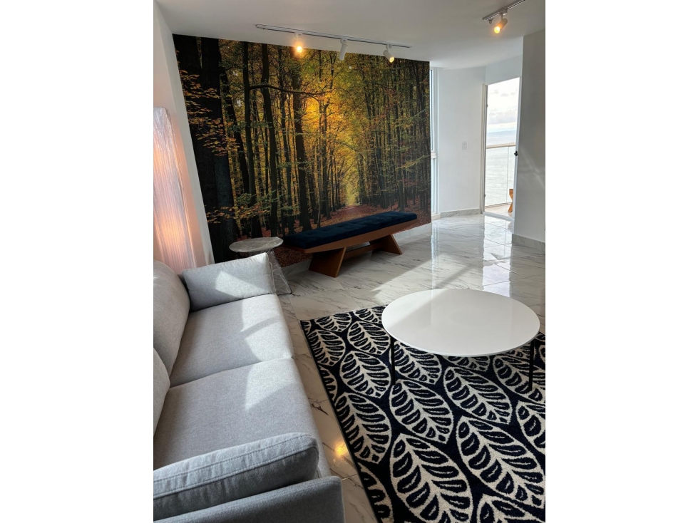 ALQUILER APARTAMENTO AMOBLADO AVENIDA BALBOA