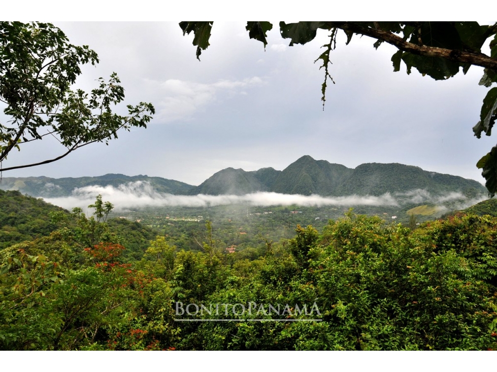 VENTA LOTE VALLE DE ANTON - 6