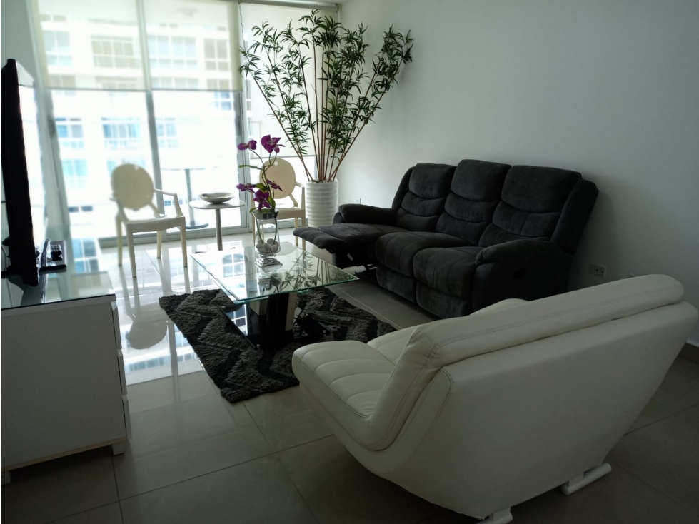ALQUILER APARTAMENTO AMOBLADO BELLA VISTA