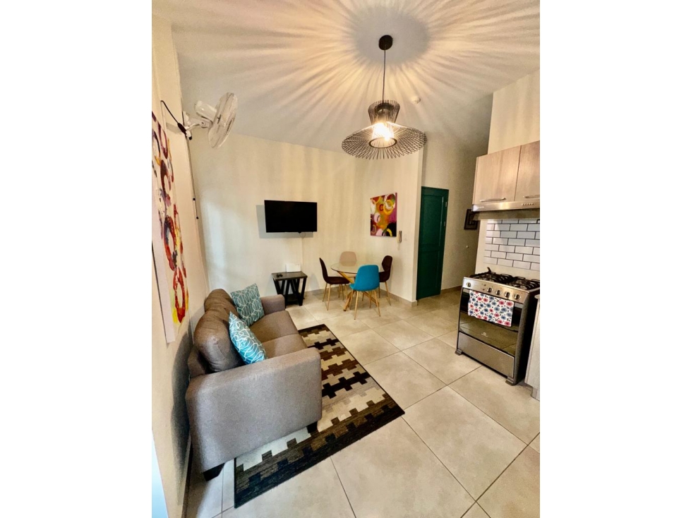 ALQUILER APARTAMENTO AMOBLADO SANTA ANA — foto 2
