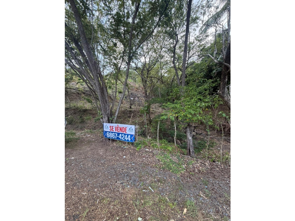 VENTA TERRENO CHAME