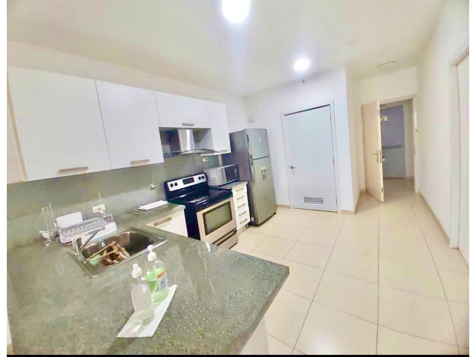 ALQUILER APARTAMENTO AMOBLADO AVENIDA BALBOA — foto 5