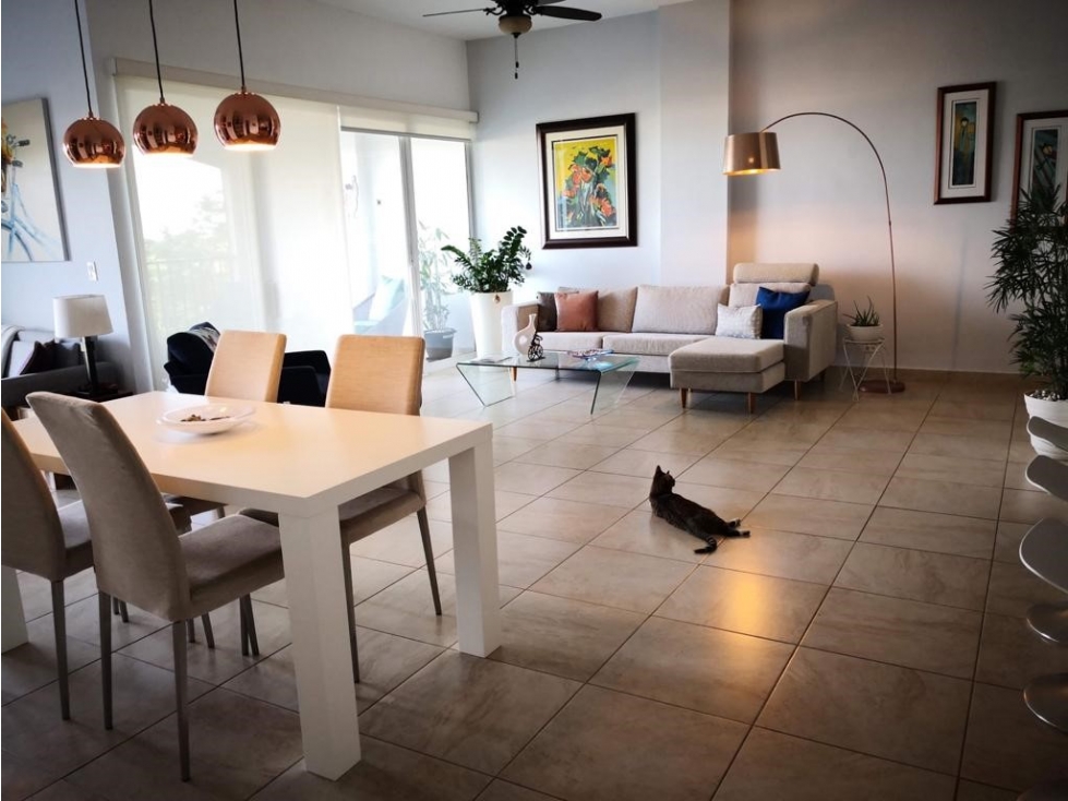 ALQUILER APARTAMENTO SEMI AMOBLADO AMADOR