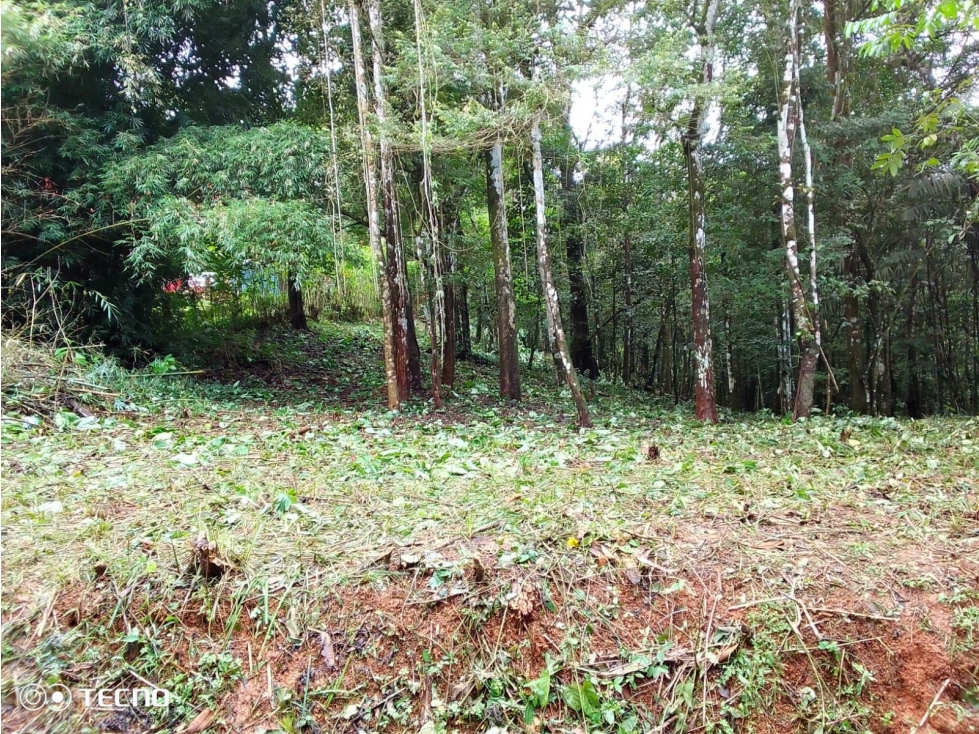 VENTA TERRENO CERRO AZUL