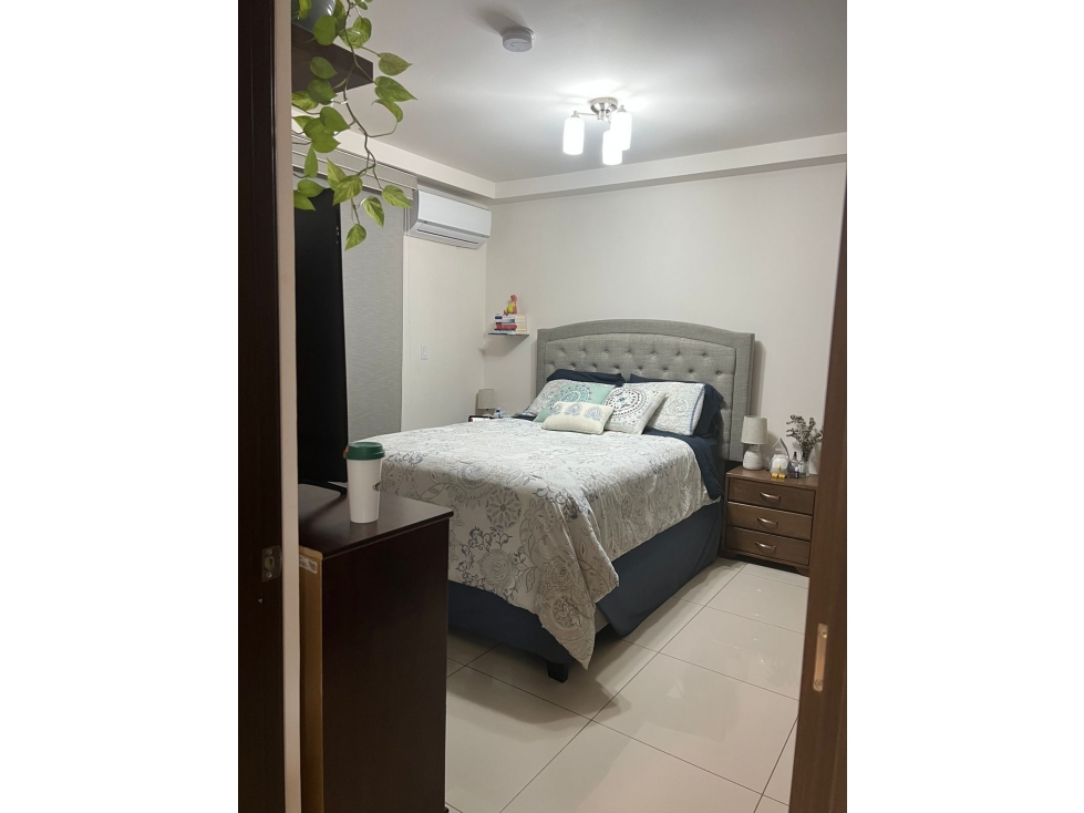 ALQUILER APARTAMENTO HATO PINTADO LINEA BLANCA — foto 6