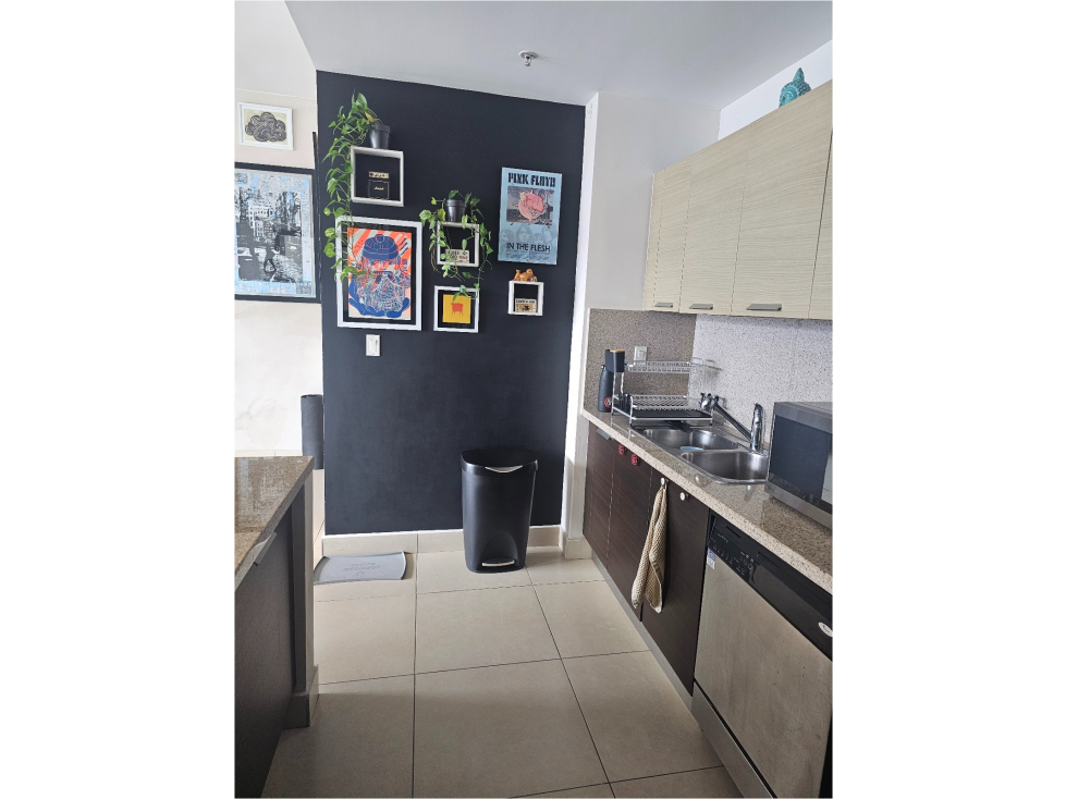 ALQUILER APARTAMENTO PUNTA PACIFICA — foto 3
