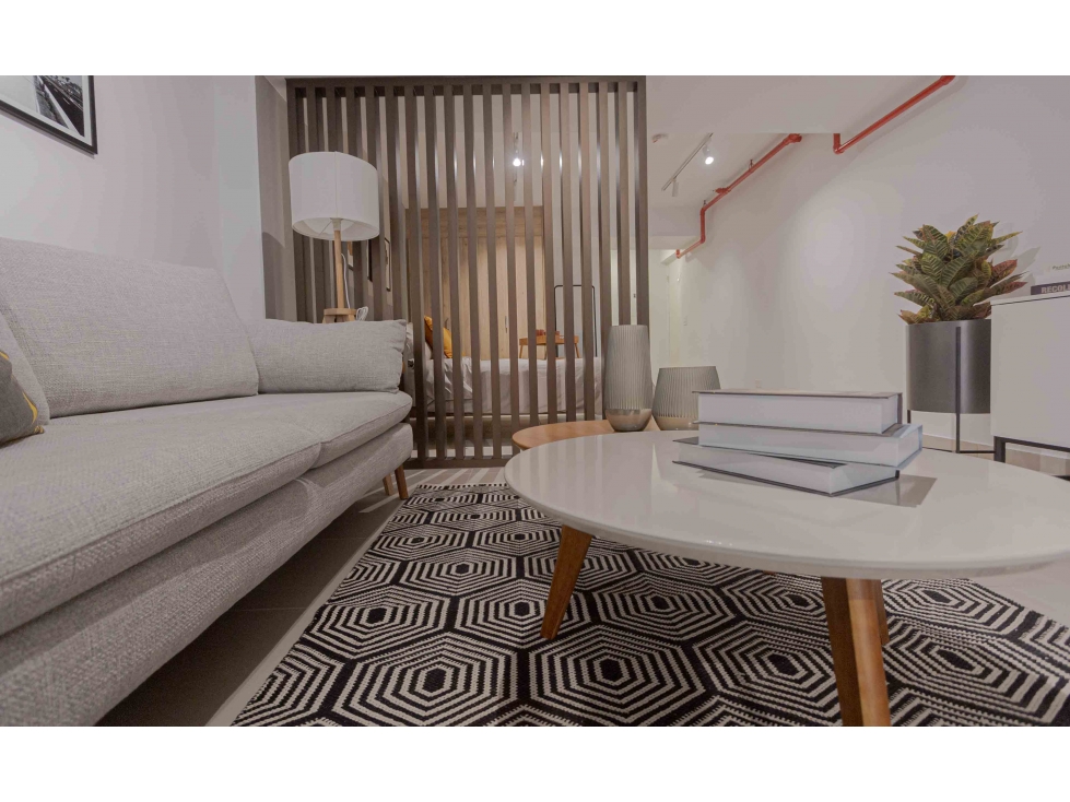 VENTA DE APARTAMENTO AMOBLADO EN PH SANTA TERESITA LIVING CASCO VIEJO — foto 4