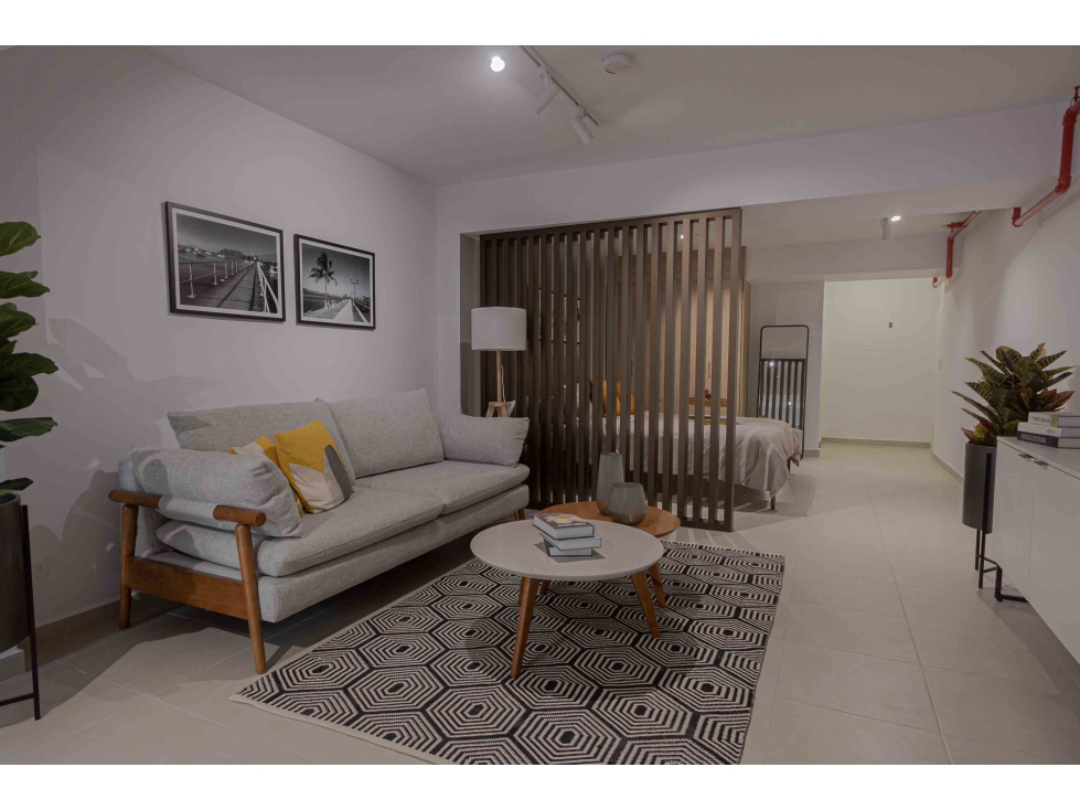 VENTA DE APARTAMENTO AMOBLADO EN PH SANTA TERESITA LIVING CASCO VIEJO — foto 3