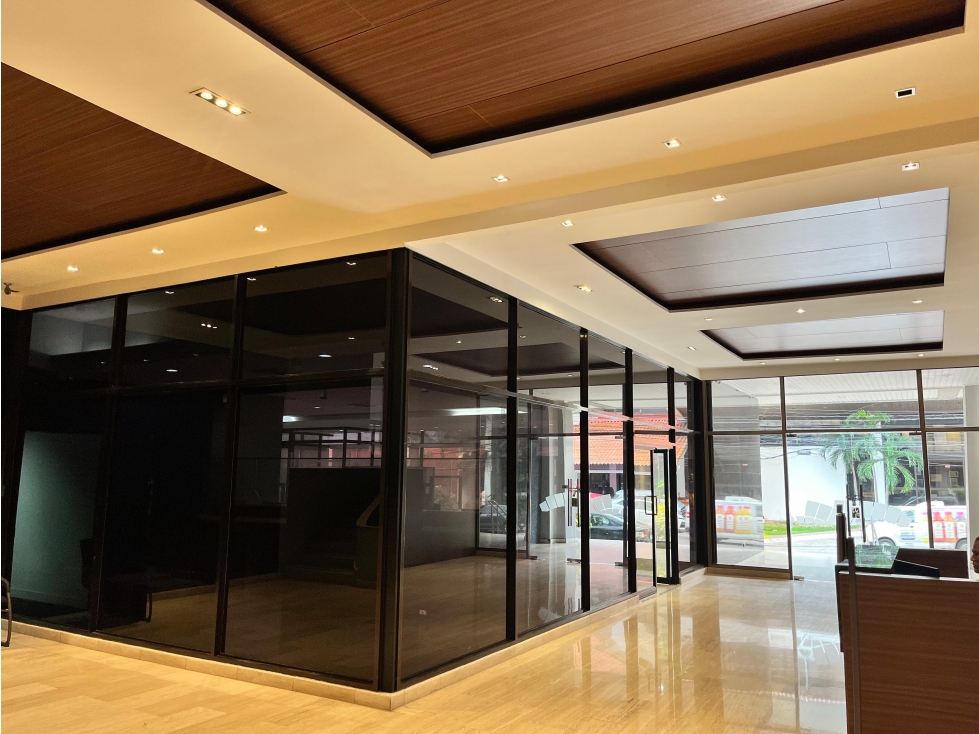ALQUILER DE OFICINA AMOBLADA EN PLAZA PAN AMERICAN, CALLE 50 — foto 3