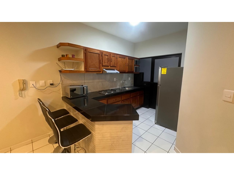 SE RENTA DEPARTAMENTO AMUEBLADO, 2 RECAMARAS, GAVIOTAS. - 2