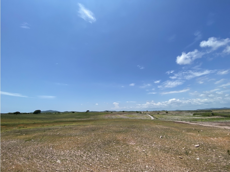 Terreno en Venta con frende de Playa en Dimas, Sinaloa - 3