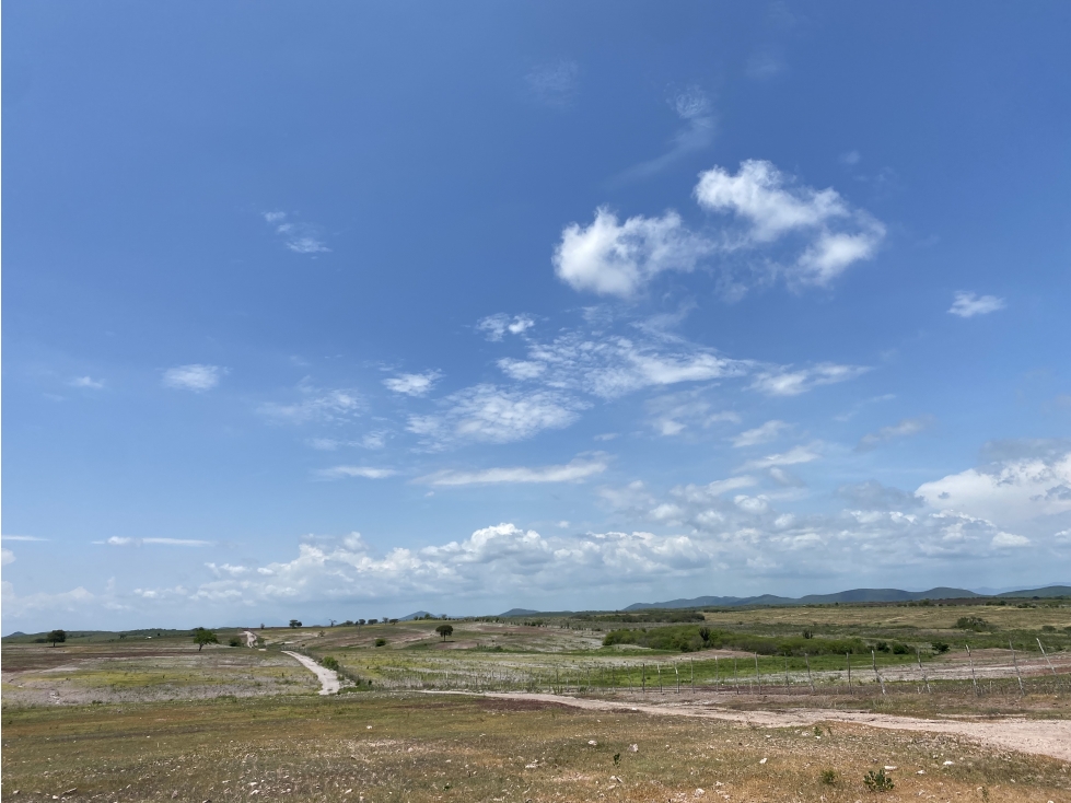 Terreno en Venta a Pie de Autopista Mzt-Cln en Dimas, Sinaloa — foto 3