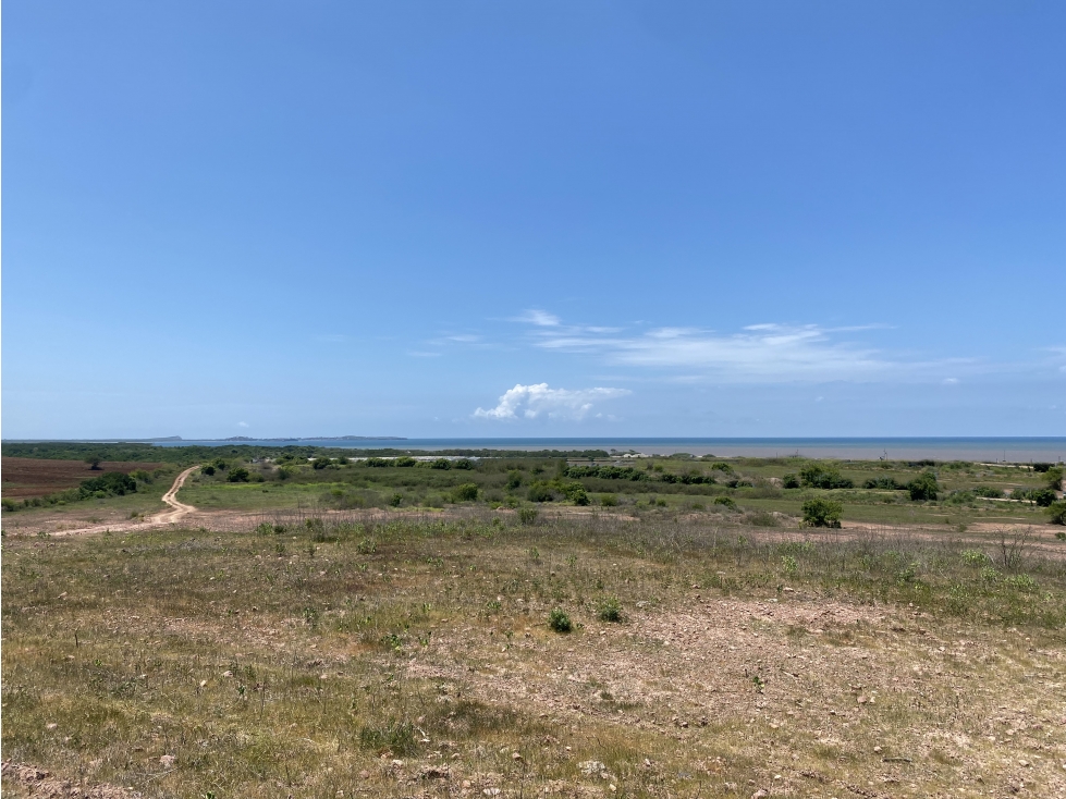 Terreno en Venta con frende de Playa en Dimas, Sinaloa - 6