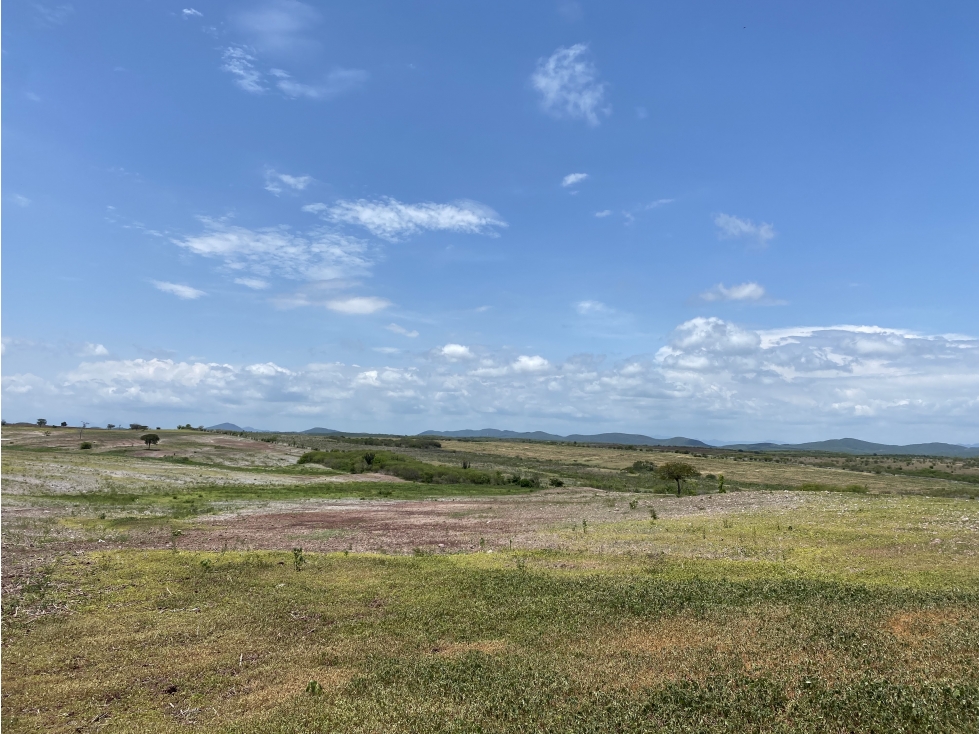 Terreno en Venta a Pie de Autopista Mzt-Cln en Dimas, Sinaloa — foto 6