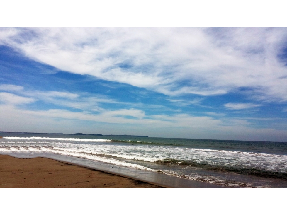 Terreno en Venta con frende de Playa en Dimas, Sinaloa - 2