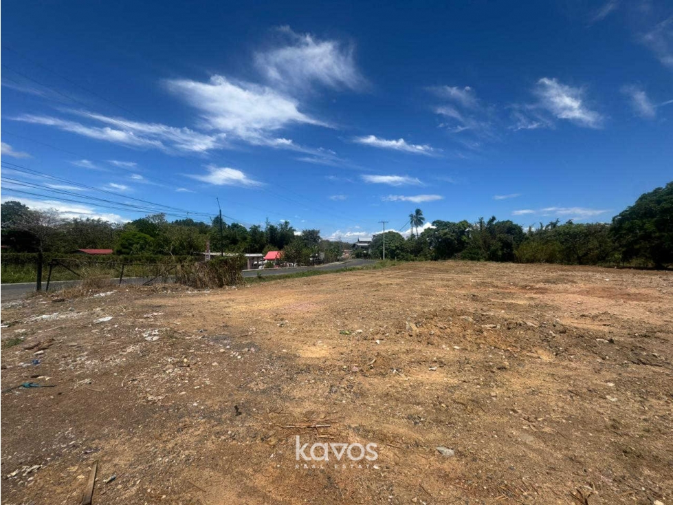 SE VENDE TERRENO EN SANTIAGO DE VERAGUAS - 4