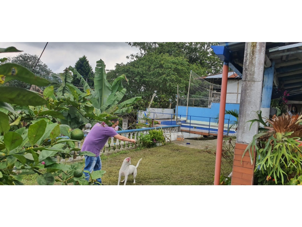 Se Vende Casa Campestre Vereda la Cristalina Circasia Quindio — foto 2