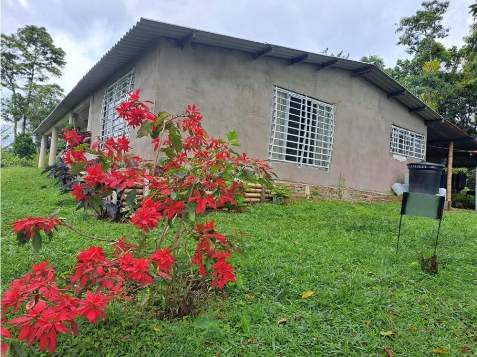 Se Vende Finca en Circasia — foto 2