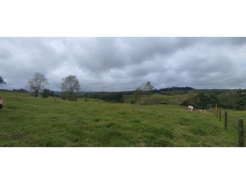 SE VENDE LOTE EN CIRCASIA CON LICENCIA DE CONSTRUCCIÓN - 1