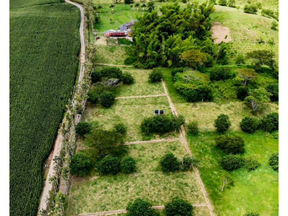 Se venden Lotes Campestres en Montengro — foto 2
