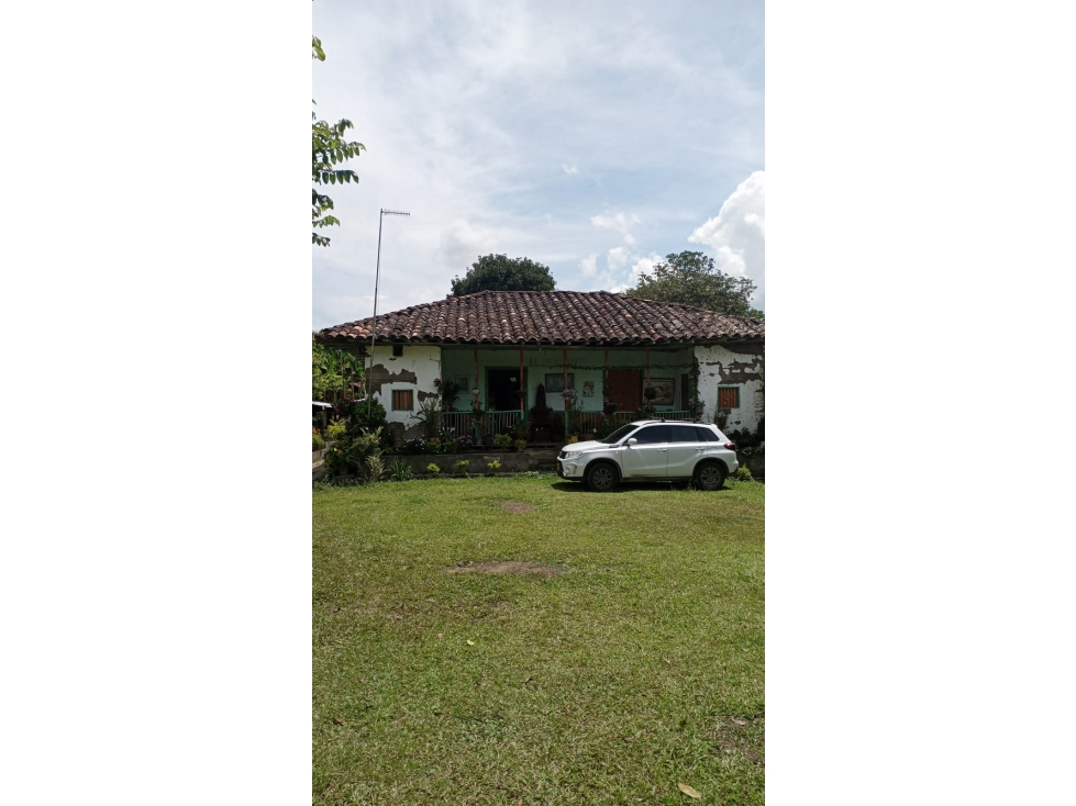 SE VENDE FINCA EN MONTENEGRO - 1