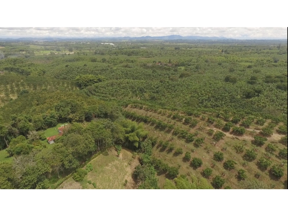 SE VENDE LOTE EN EL CAIMO