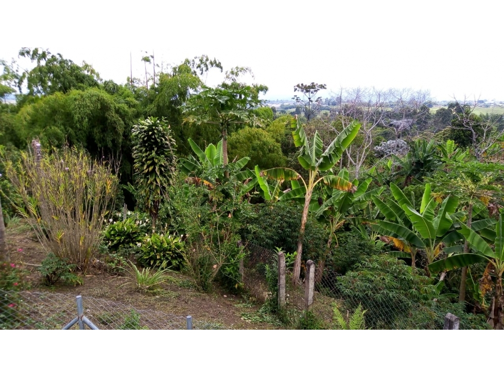 Se Vende Espectacular Finca Chalet en Barcelona Alta - Circasia — foto 2