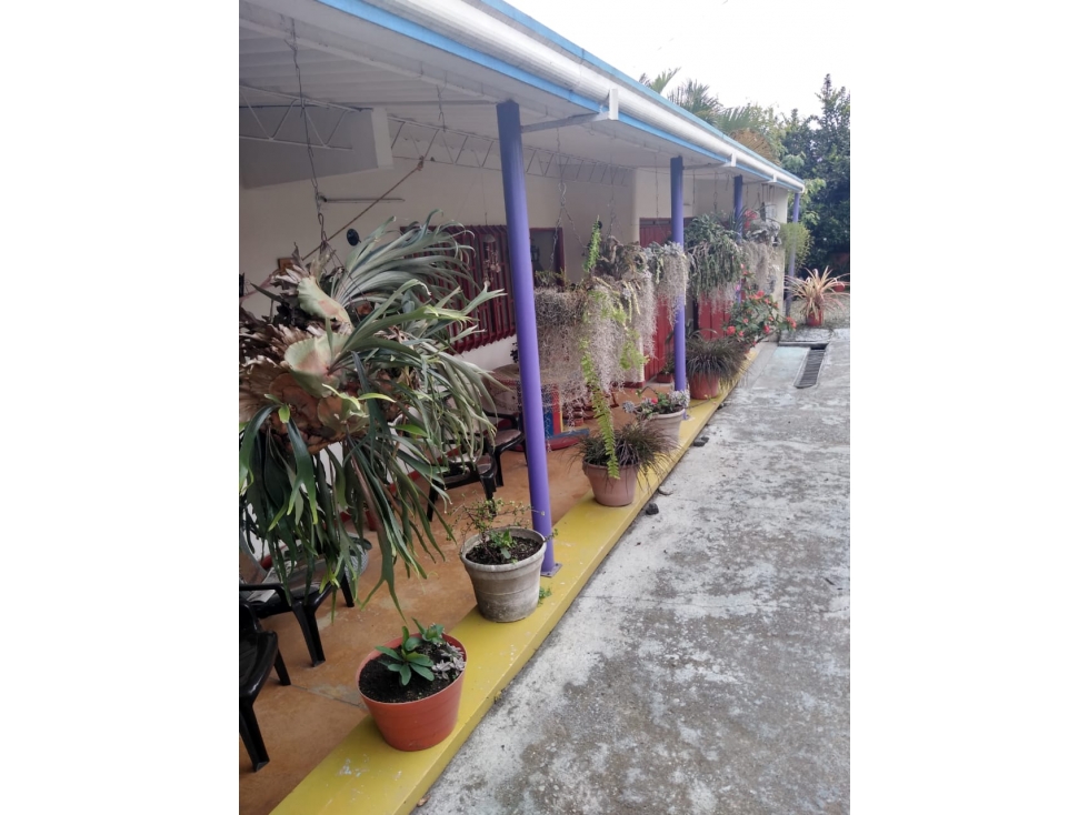 Se Vende Finca Vía Montenegro,Circasia — foto 3