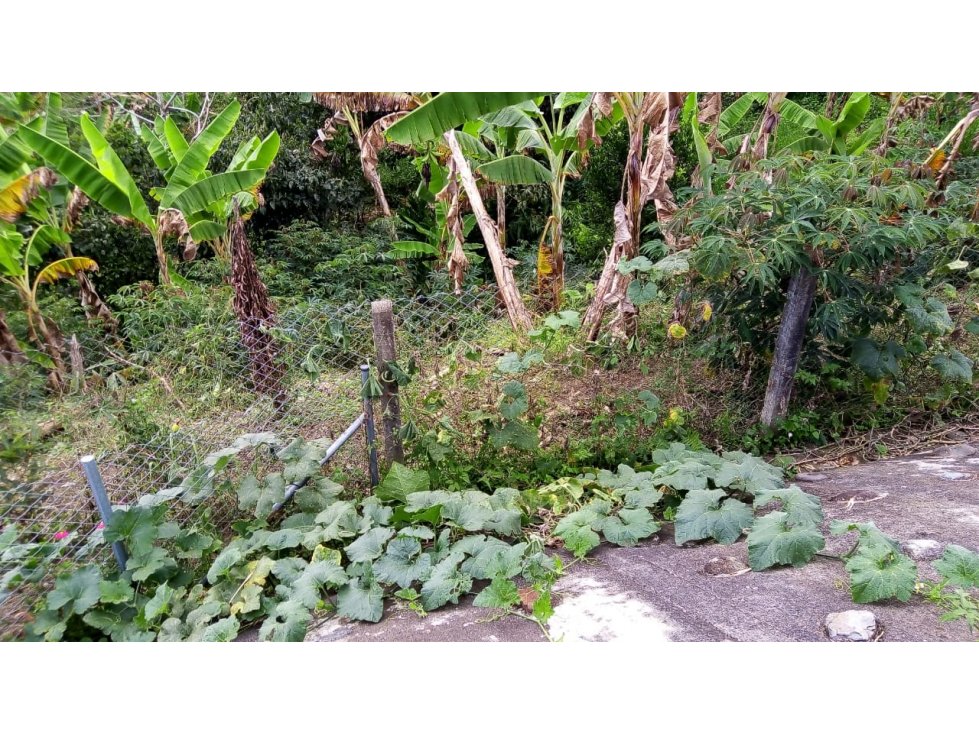 Se Vende Espectacular Finca Chalet en Barcelona Alta - Circasia — foto 6