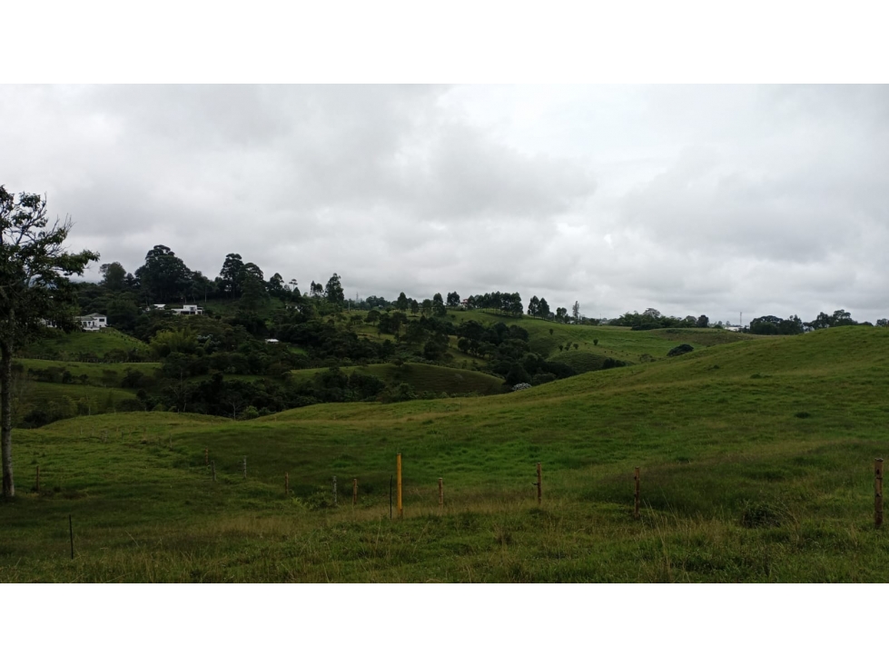 SE VENDE LOTE EN CIRCASIA CON LICENCIA DE CONSTRUCCIÓN - 2