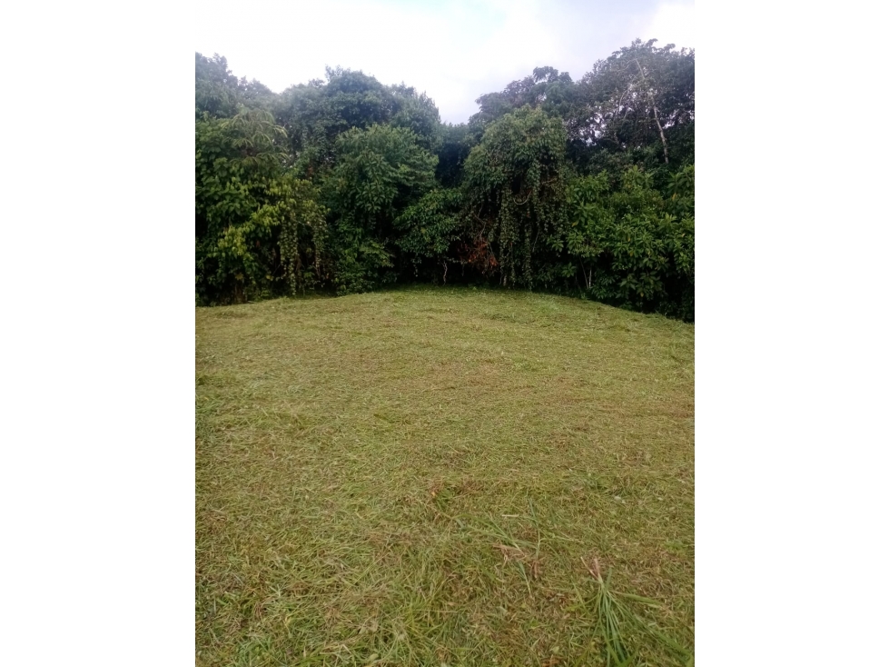 SE VENDE LOTE EN CONJUNTO CERRADOEN LA VIA CIRCASIA - PEREIRA - 2