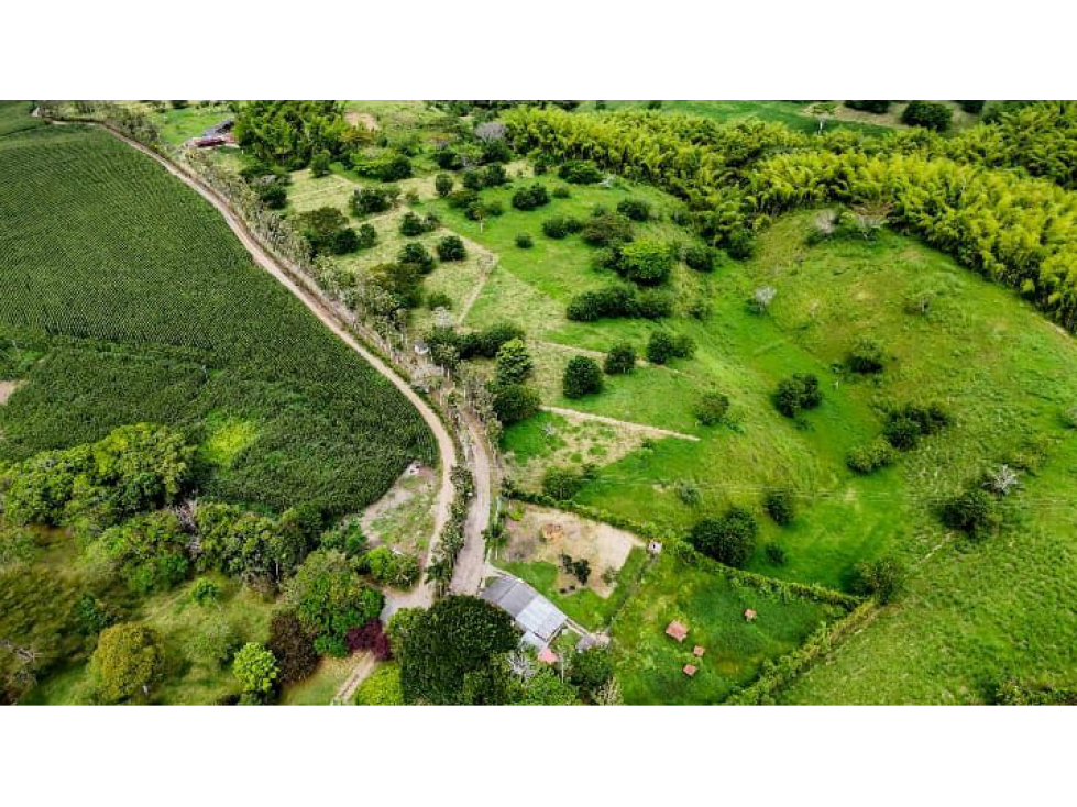 Se venden Lotes Campestres en Montengro — foto 3