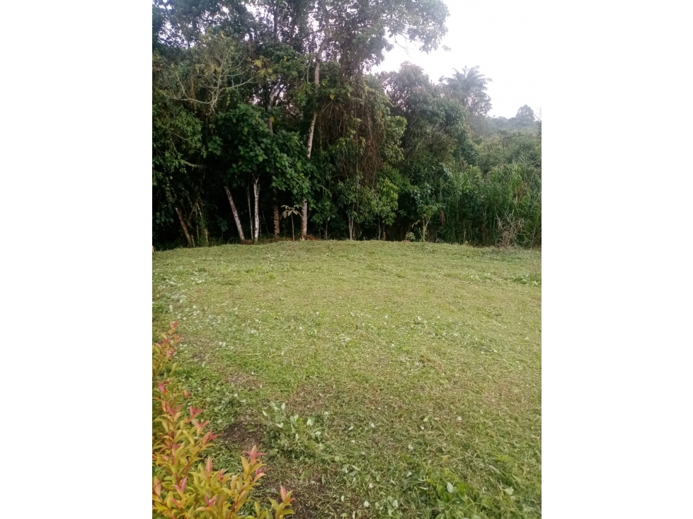 SE VENDE LOTE EN CONJUNTO CERRADOEN LA VIA CIRCASIA - PEREIRA - 3