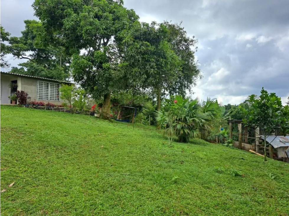 Se Vende Finca en Circasia — foto 3