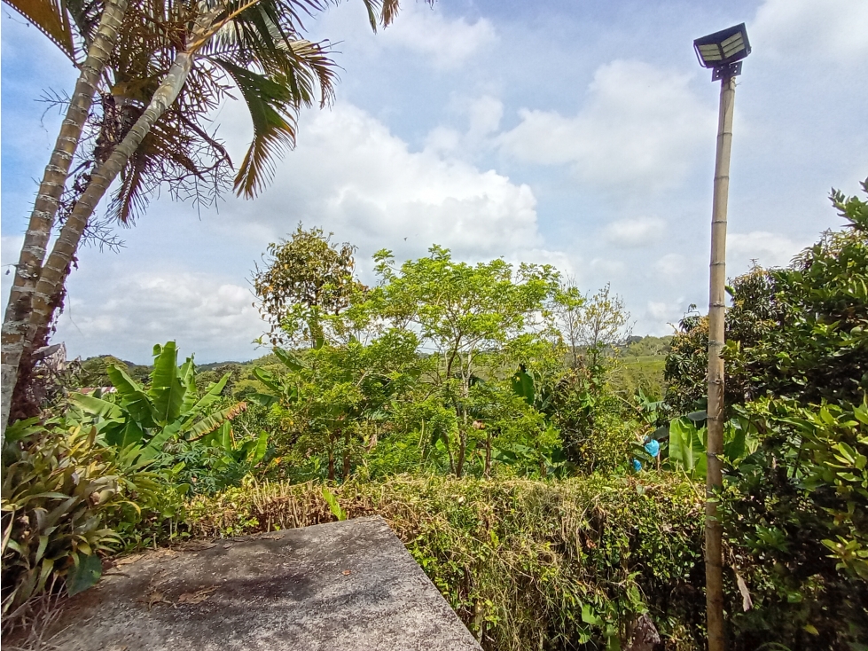 Finca Productiva en Venta con Cultivo de Plátano en Hojas Anchas Q — foto 3