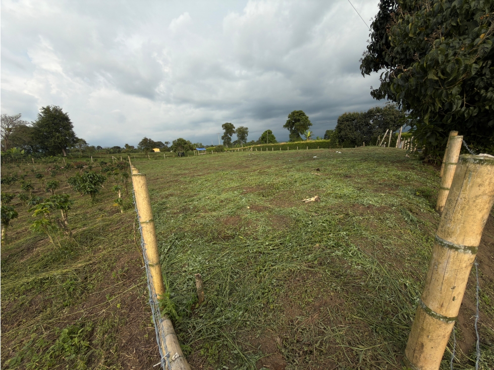Se Vende Lote en Quimbaya por la Vereda Naranjal