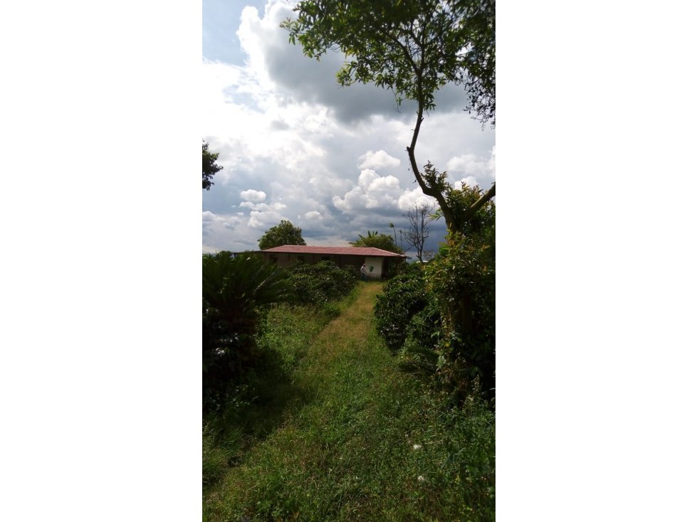 SE PERMUTA FINCA VIA CIRCASIA-MONTENEGRO — foto 3