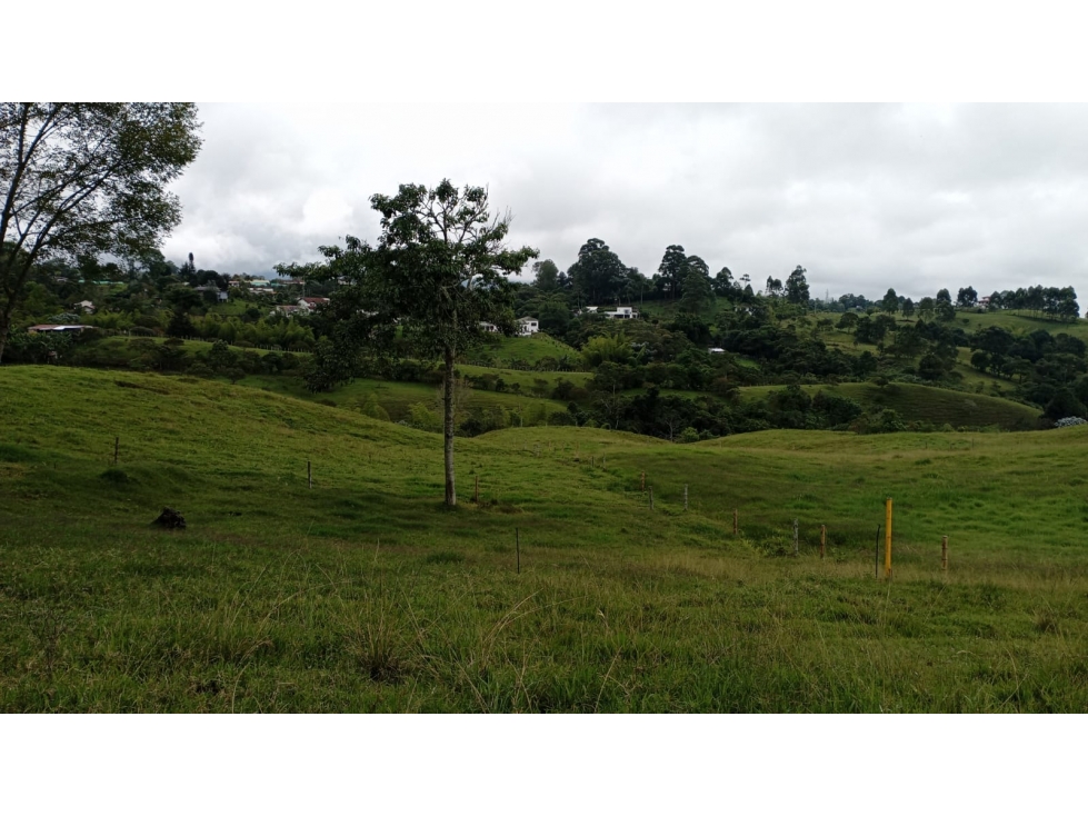 SE VENDE LOTE EN CIRCASIA CON LICENCIA DE CONSTRUCCIÓN - 4