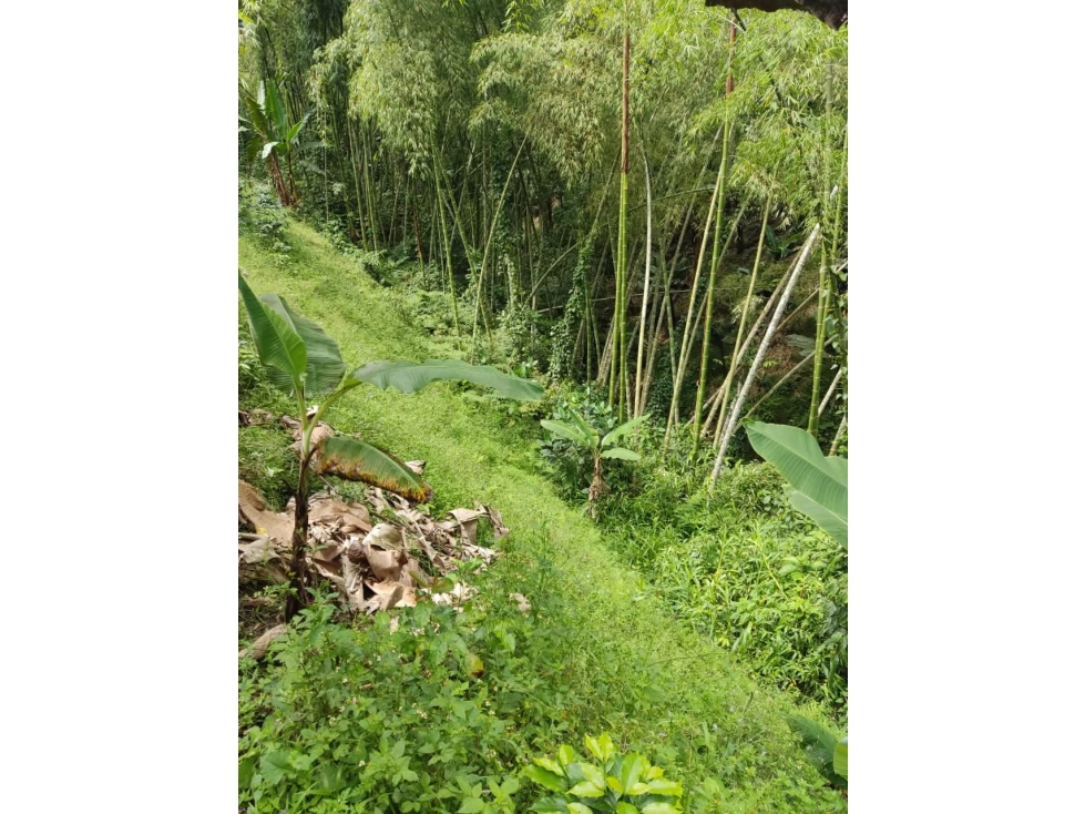 Se Vende Finca en Circasia — foto 4