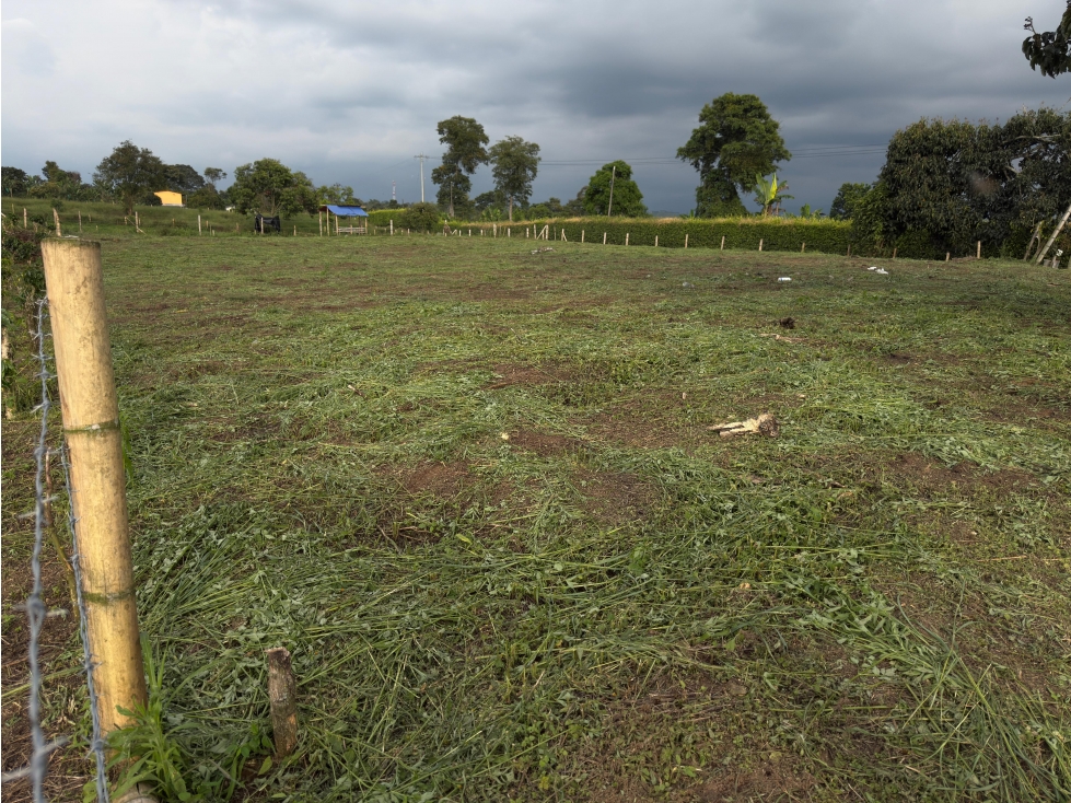 Se Vende Lote en Quimbaya por la Vereda Naranjal — foto 2