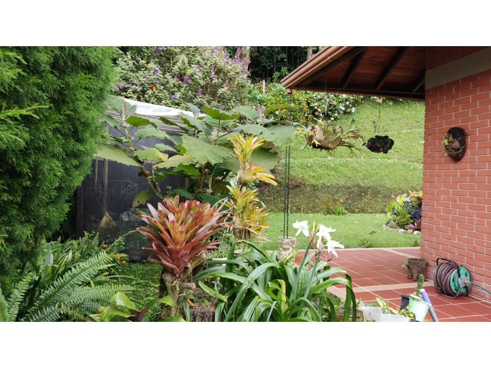 CASA CAMPESTRE CONDOMINIO VIA ARMENIA-PEREIRA — foto 5