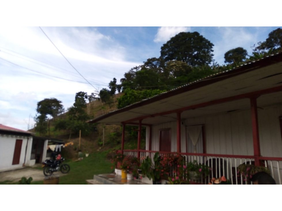 Se Vende Finca Sobre la Vereda Canaan - 2